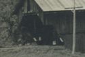 RPPc Errol Nh Covered Bridge Old New Hampshire Rea