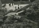 RPPc river mouse KirkfieldBank Lanark Scotland Uk 