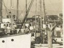 RPPc Fishing Fleet Astoria Ore Or Oregon Boats Shi