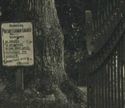 RPPc Donegal Prebsteryian Church Gateway Mount Joy