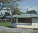 CLEARWATER FL FAMOUS KAPOK TREE,OLD CARS,ROADSIDE 