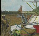 ALGIERS, OLD & NU FARMING, IH GRAIN REAPER & WOMEN