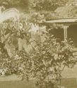 RPPc Caledonia Mn Big Flowers Gazebo Rochester Eit