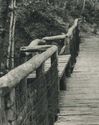 Rppc Bridge To Copper Falls State Park Mellen Wi W