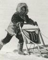 RPPC MIKE SHREWSBURY,JR SLED DOG 1MI CHAMP FAIRBAN