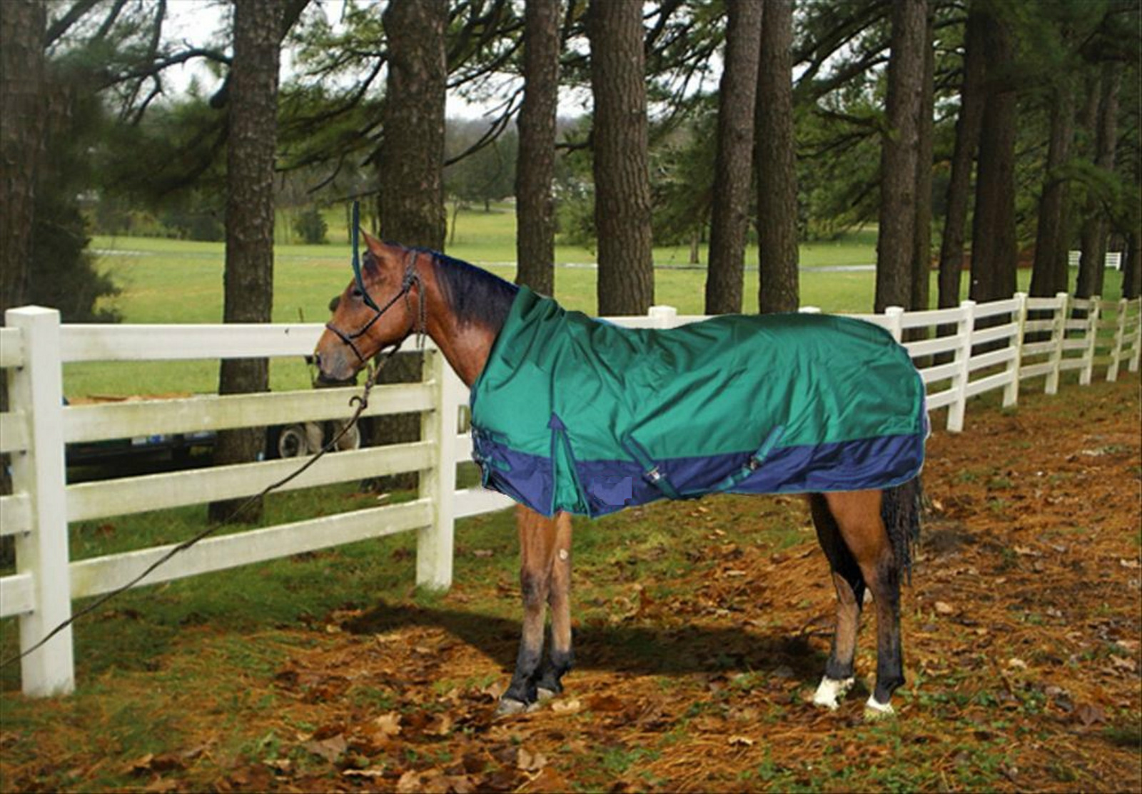 1680D TURNOUT WATERPROOF HORSE BLANKET 005 Size from 69" to 83" eBay
