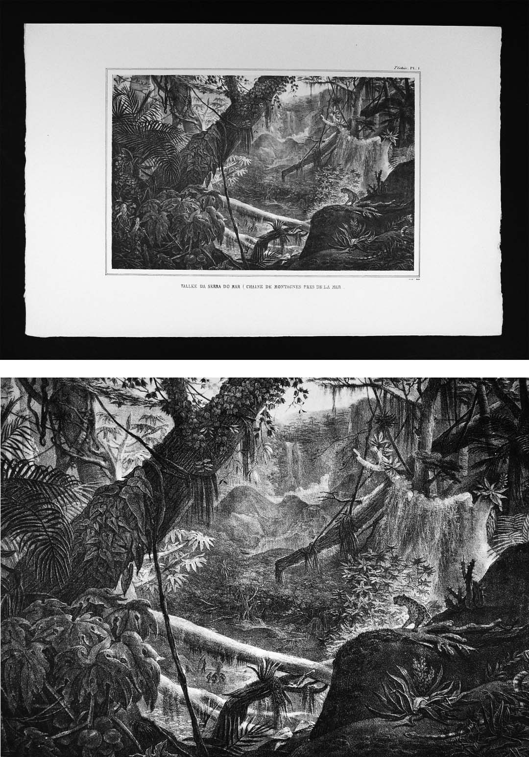 Details About Debret Brazil Print Vallee Da Serra Do Mar Valley Rainforest Jaguar Indians