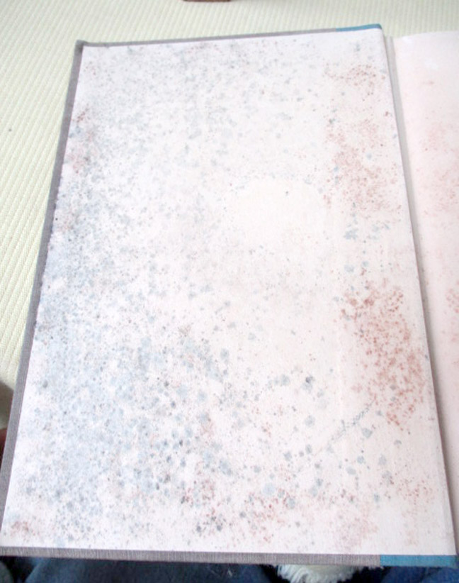 Image Hosting by Vendio