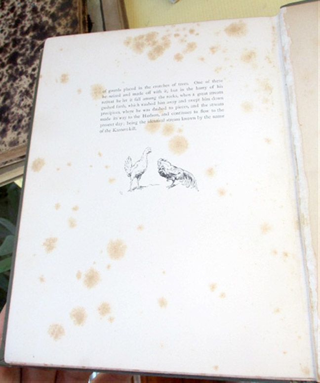 Image Hosting by Vendio