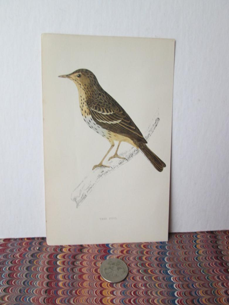 Image Hosting by Vendio