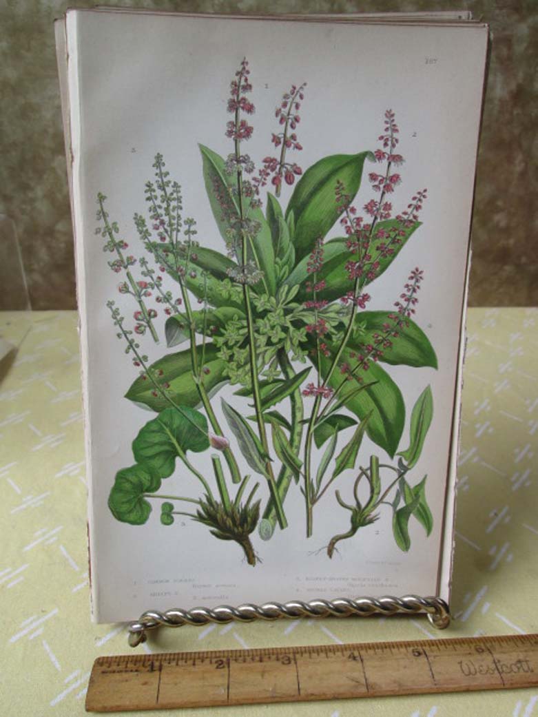 Image Hosting by Vendio