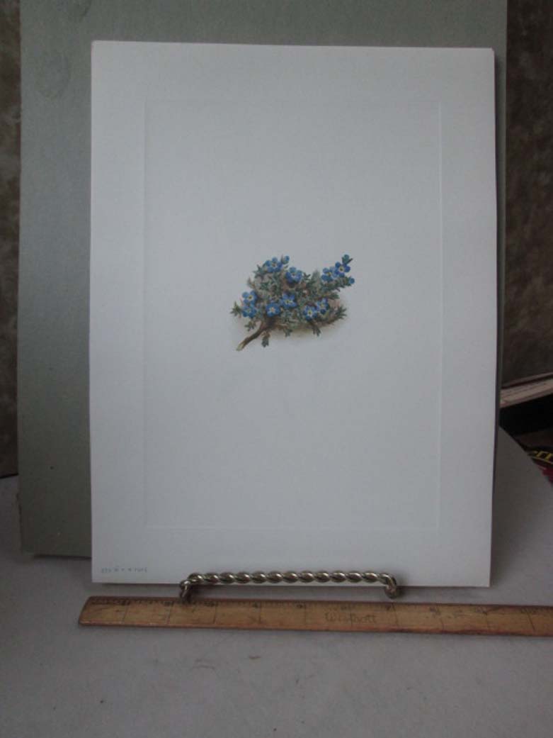 Image Hosting by Vendio