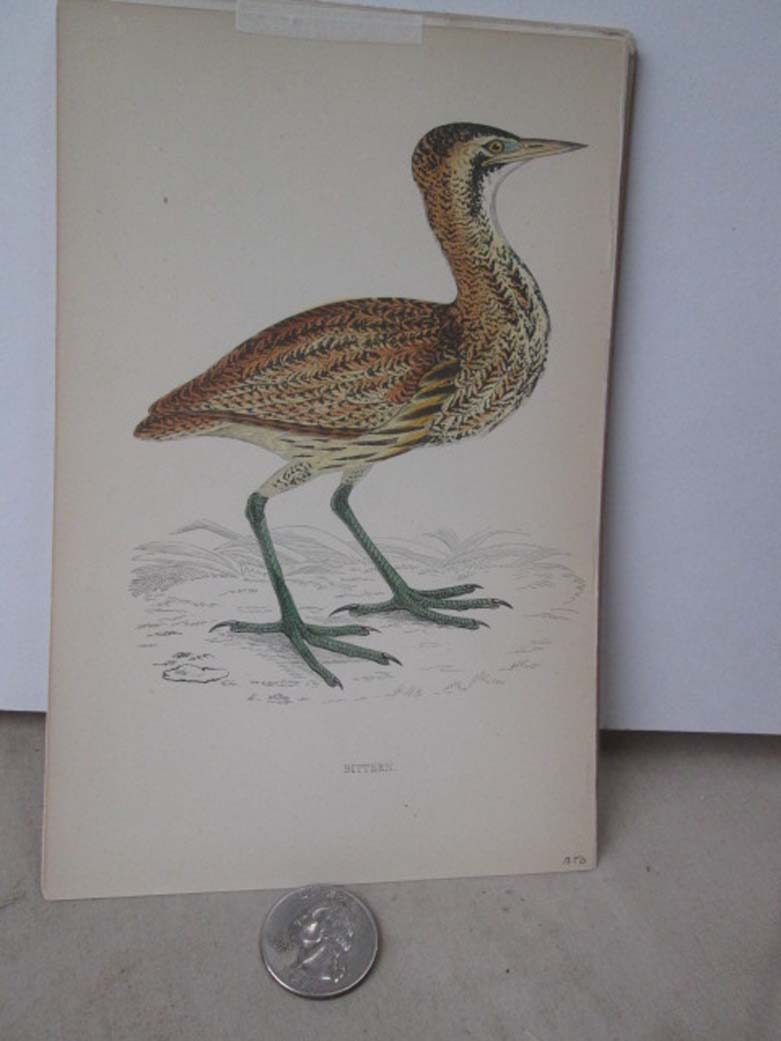 Image Hosting by Vendio