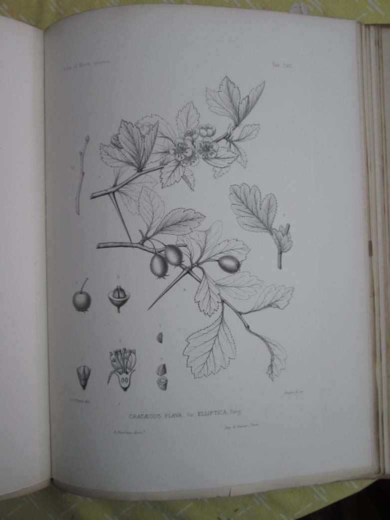 Image Hosting by Vendio