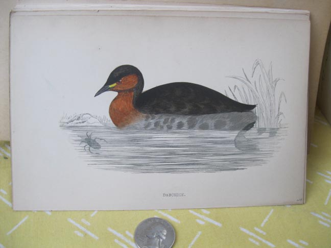 Image Hosting by Vendio