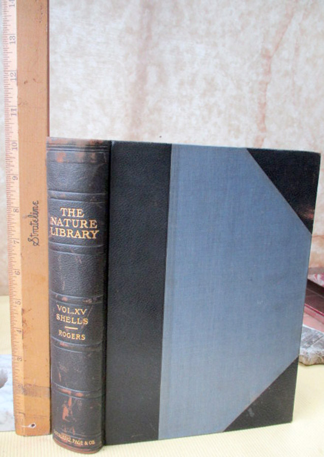 超レア洋書Schellings Werke. Nach der Original I decided to buy all 6 of these texts on Schelling in German. I