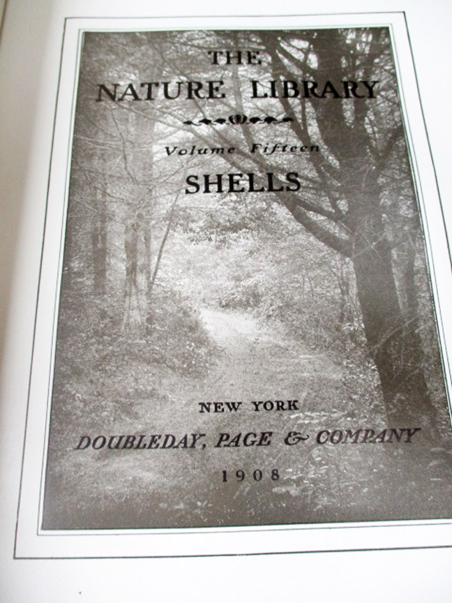 Image Hosting by Vendio