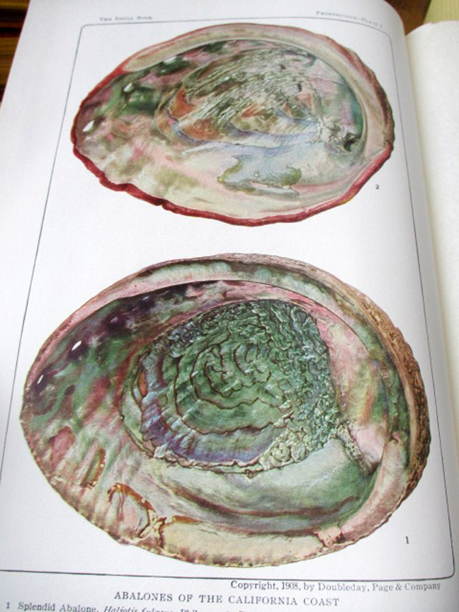 Image Hosting by Vendio