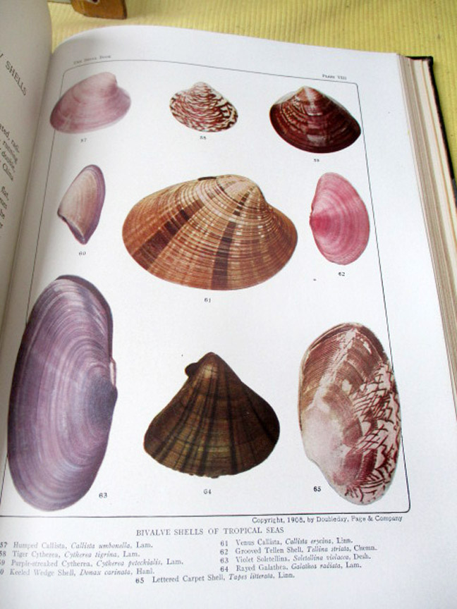 Image Hosting by Vendio