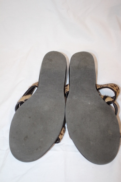 Image Hosting by Vendio