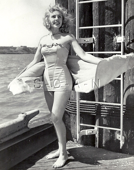 Image Hosting by Vendio