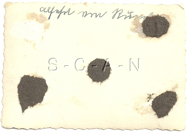 Image Hosting by Vendio