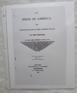 Image Hosting by Vendio