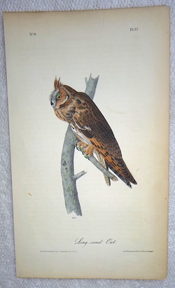 Image Hosting by Vendio