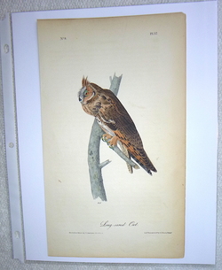 Image Hosting by Vendio