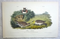 Image Hosting by Vendio