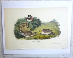 Image Hosting by Vendio