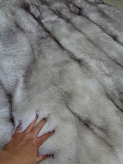 Image Hosting by Vendio