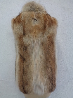 Image Hosting by Vendio