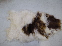 Image Hosting by Vendio