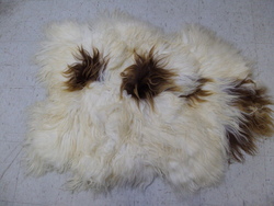 Image Hosting by Vendio