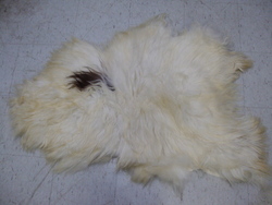 Image Hosting by Vendio