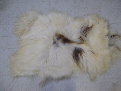 Image Hosting by Vendio