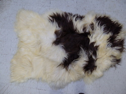 Image Hosting by Vendio