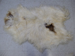 Image Hosting by Vendio