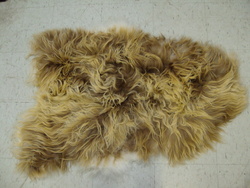 Image Hosting by Vendio