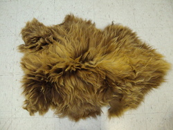 Image Hosting by Vendio