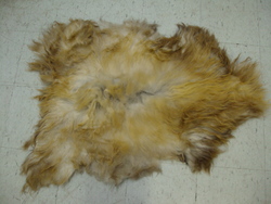 Image Hosting by Vendio