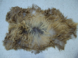 Image Hosting by Vendio