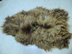 Image Hosting by Vendio