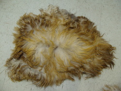 Image Hosting by Vendio