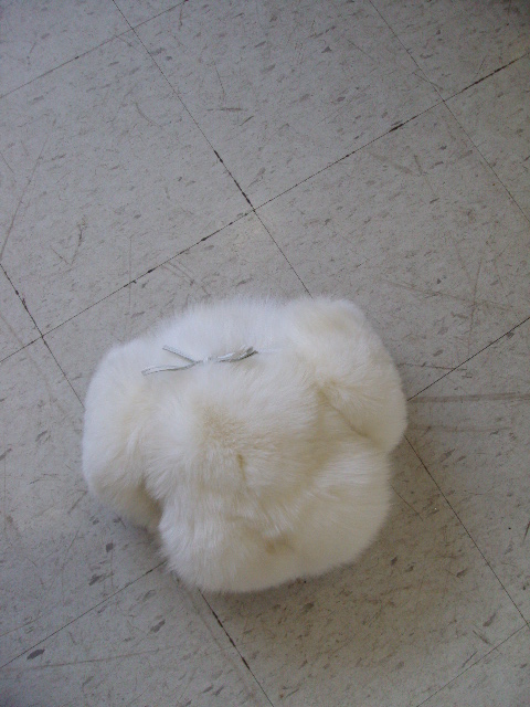 Image Hosting by Vendio