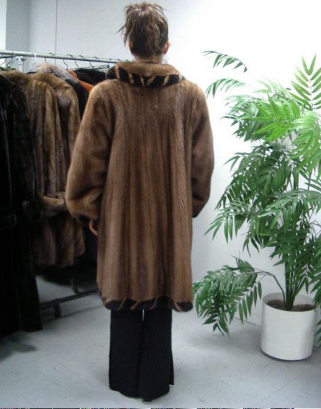 Image Hosting by Vendio