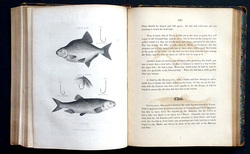 Image Hosting by Vendio