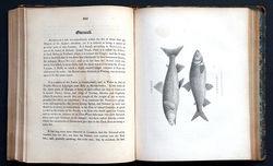 Image Hosting by Vendio