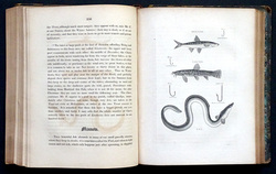 Image Hosting by Vendio